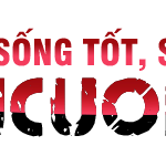 VClogo2