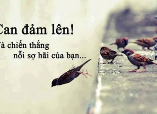 Kệ mẹ nó, làm tới đi!