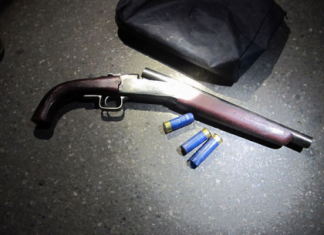 Hải Phòng – Hoa phượng đỏ